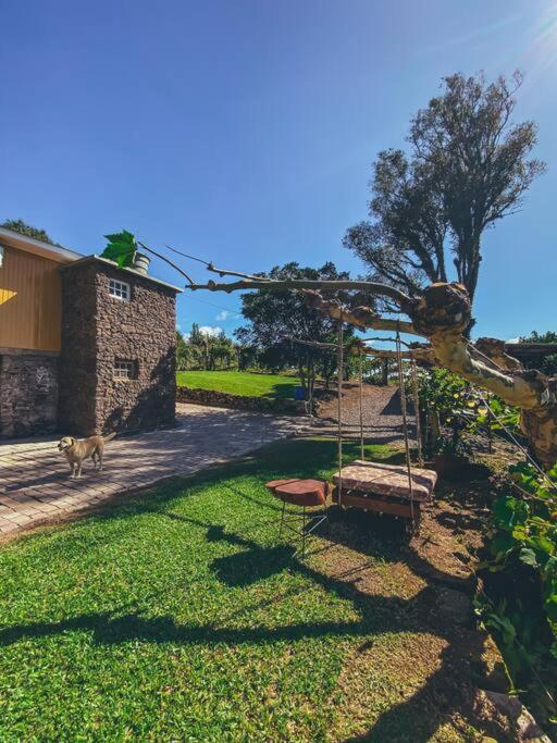 Casa Vigneto Octavio No Vale Dos Vinhedos Villa Bento Gonçalves Exteriör bild